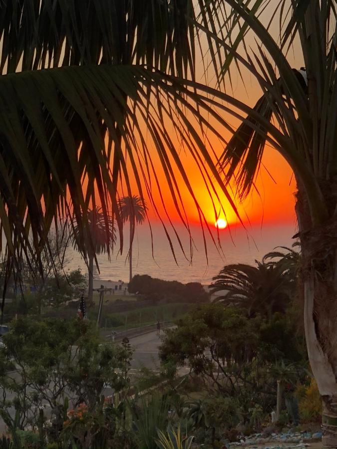 Moonlight Beach Motel Encinitas Eksteriør bilde